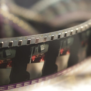 Во Владимирской области в 2023 году появится региональная кинокомиссия