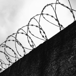 Владимирская область заняла 31 место в рейтинге по уровню преступности