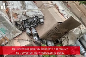 Во Владимирской области в лесу нашли свалку ртутных ламп