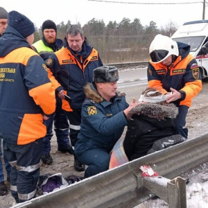 Владимирские спасатели рассказали о помощи пострадавшим в ДТП с автобусом  