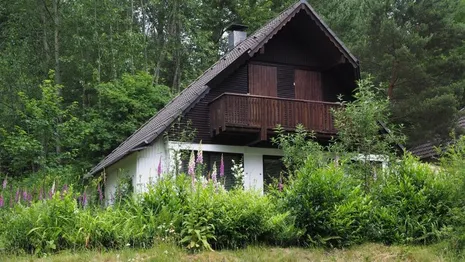 Во Владимирской области рецидивист из Москвы ограбил 18 дачных домов