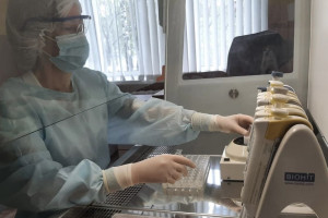 Во Владимирской области с людей сняли 13 зараженных болезнью Лайма клещей