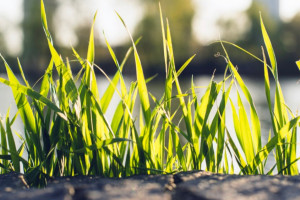 Народные приметы на 27 февраля: что можно и нельзя делать в день Кирилла Весноуказчика