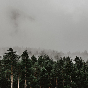 Во Владимирской области прогремел взрыв