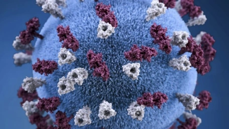 Во Владимирской области санврачи подтвердили 82 случая ковида