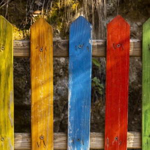 Во Владимирской области нашли заброшенный детский лагерь