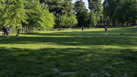 Чиновники отклонили проект застройки лугопарка «Дружба» во Владимире