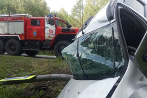 В Киржачском районе легковушка врезалась в столб
