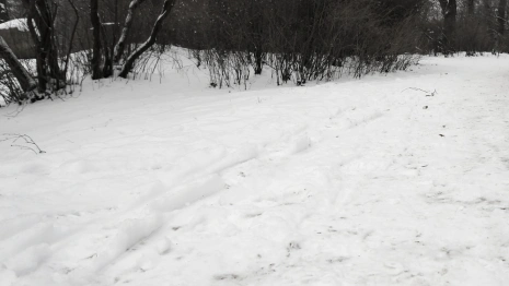 Под Владимиром нашли замерзший труп человека