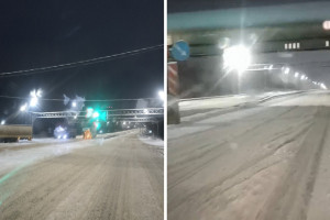 Пекинка во Владимире превратилась в один большой сугроб