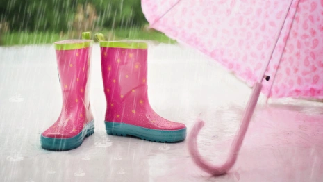 Во Владимирскую область придут дожди и резкое похолодание