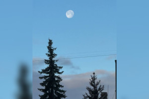 Утром жители Владимира наблюдали яркую Луну