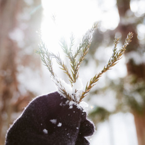 Прогноз погоды во Владимире и области на 11 февраля