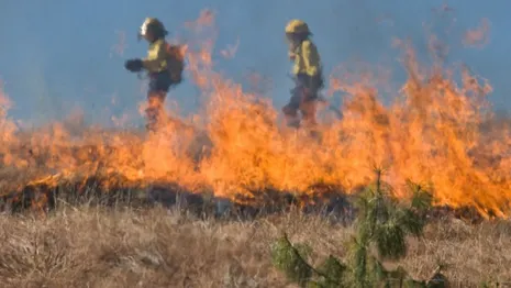 Во Владимирской области пожары охватили сухую траву в 72 местах