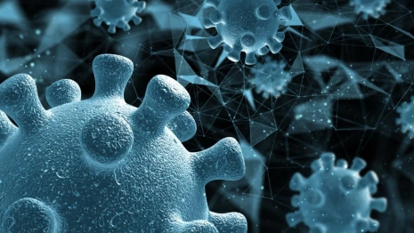 Во Владимирской области заболеваемость коронавирусом снизилась до 37 случаев