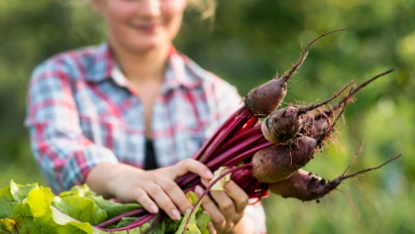 Стратилат Тепляк: что можно и нельзя делать 1 сентября