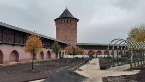 В Суздале в Спасо-Евфимиевом монастыре высадят 13 лип 