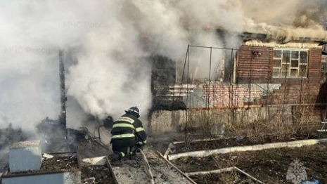 Сотрудники МЧС спасли дачный поселок в Петушинском районе от пожара