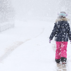 На Владимирскую область надвигается сильный снегопад