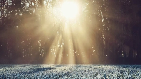 Разыскиваемую во Владимирской области 65-летнюю москвичку нашли живой