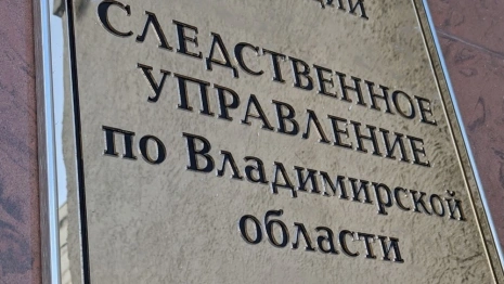 Гибель роженицы во Владимирском перинатальном центре обернулась уголовным делом