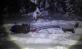 В Камешково браконьера оштрафовали за убийство двух лосей