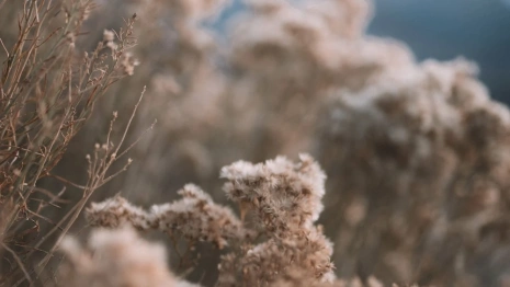 Жителям Владимирской области пообещали 9-градусное тепло