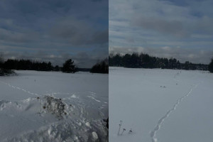 В Гусь-Хрустальном районе женщина испугалась следов животных у дома
