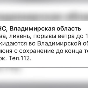 МЧС предупредило жителей Владимирской области о ливне с грозой и урагане до 17 м/с