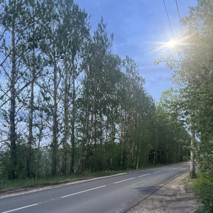 Во Владимирской области в 2025 году начнут строить новую дорогу до Подмосковья