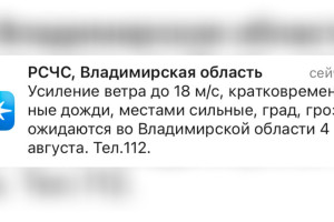 МЧС предупредило жителей Владимирской области о грозе и граде 4 августа