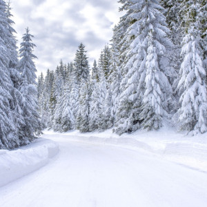 Прогноз погоды во Владимире и области на 12 января
