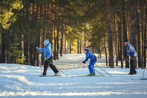 Во владимирском парке «Дружба» пройдет лыжная ретрогонка