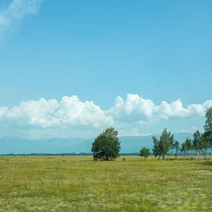 Экс-главу Коврова обвинили в халатности с выделением земли многодетным