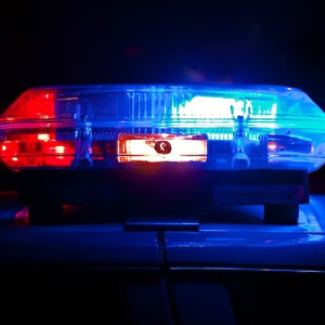 Во Владимире установили личность убитого у красносельских бань мужчины