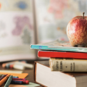 Вопрос о переводе единственных 14 учеников из сельской школы в Камешково остался открытым