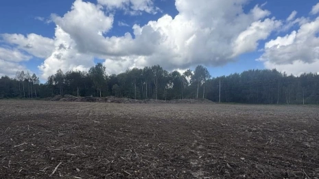 Житель Струнино попал под следствие за незаконную вырубку деревьев