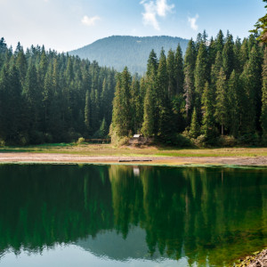В ковровском Байкале утонул 30-летний мужчина