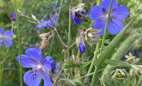 Настоящее тепло вернется во Владимирскую область в начале мая