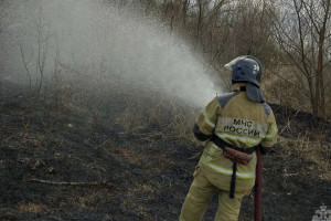 Во Владимирской области загорелись два леса