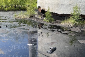 В Муроме огородили территорию котельной с разлившимся мазутом