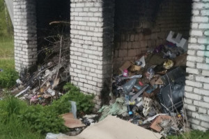 В Селивановском районе нашли 12 стихийных свалок