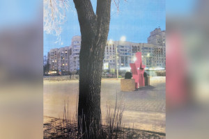 Во Владимире решили спилить 14 аварийных деревьев