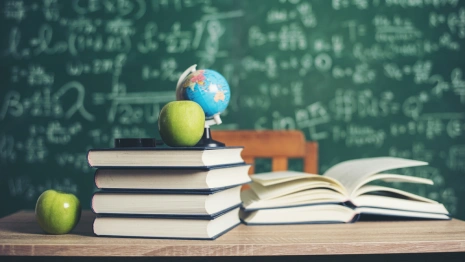 Школы в Покрове и Лакинске планируют открыть к 1 сентября