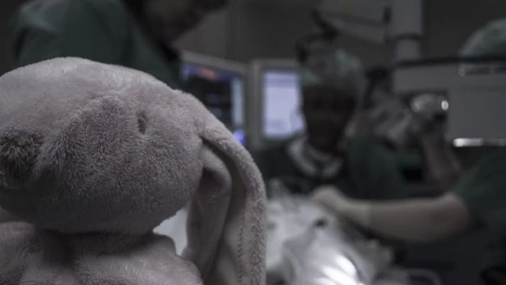 Во Владимирской области мать пожаловалась на врачей после смерти 5-летнего сына