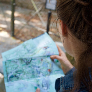 Частным гидам запретили водить туристов во владимирские храмы и монастыри