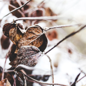 Владимирцам пообещали дождливые выходные со снегом