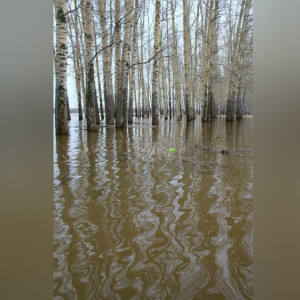 Во Владимирской области весной под воду могут уйти 24 населенных пункта
