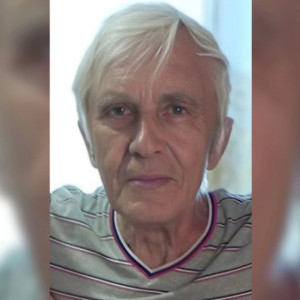 Владимирцев позвали на повторные поиски 82-летнего дедушки с бордовым ведром