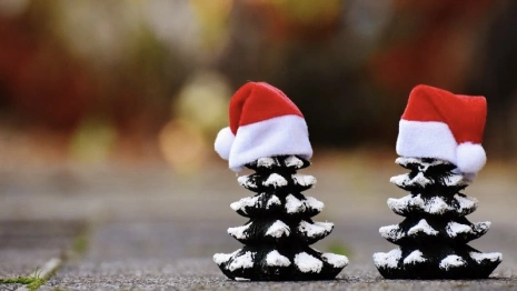 Во Владимире дети смогут в Центральном парке отправить письма Деду Морозу